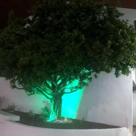 Lucia Garden Con Piscina Climatizada Appartamento