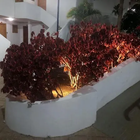 Lucia Garden Con Piscina Climatizada * Плайя-Фаньябе