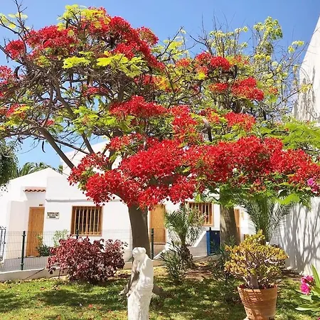 Lucia Garden Con Piscina Climatizada Плайя-Фаньябе